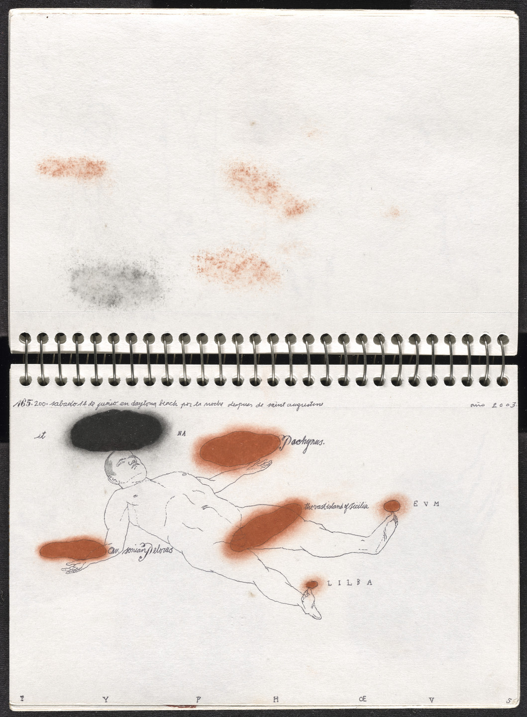 José Antonio Suárez Londoño. Metamorphoses Ovid II (Metamorfosis Ovidio II). 2003