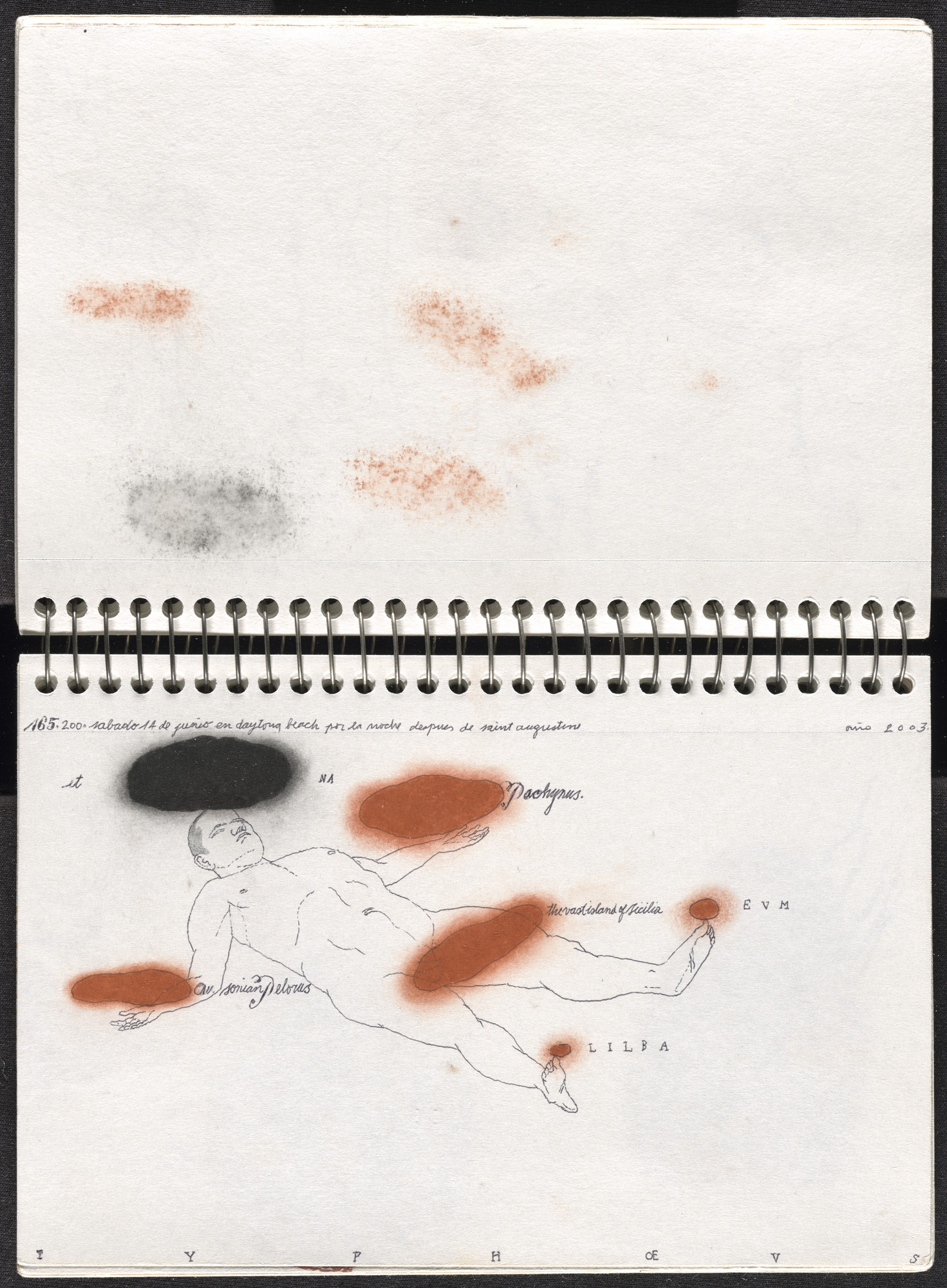 José Antonio Suárez Londoño. Metamorphoses Ovid II (Metamorfosis Ovidio II). 2003