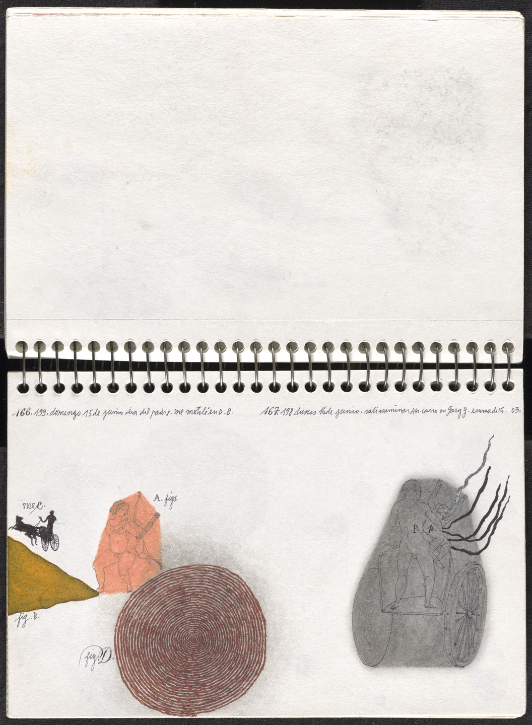 José Antonio Suárez Londoño. Metamorphoses Ovid II (Metamorfosis Ovidio II). 2003