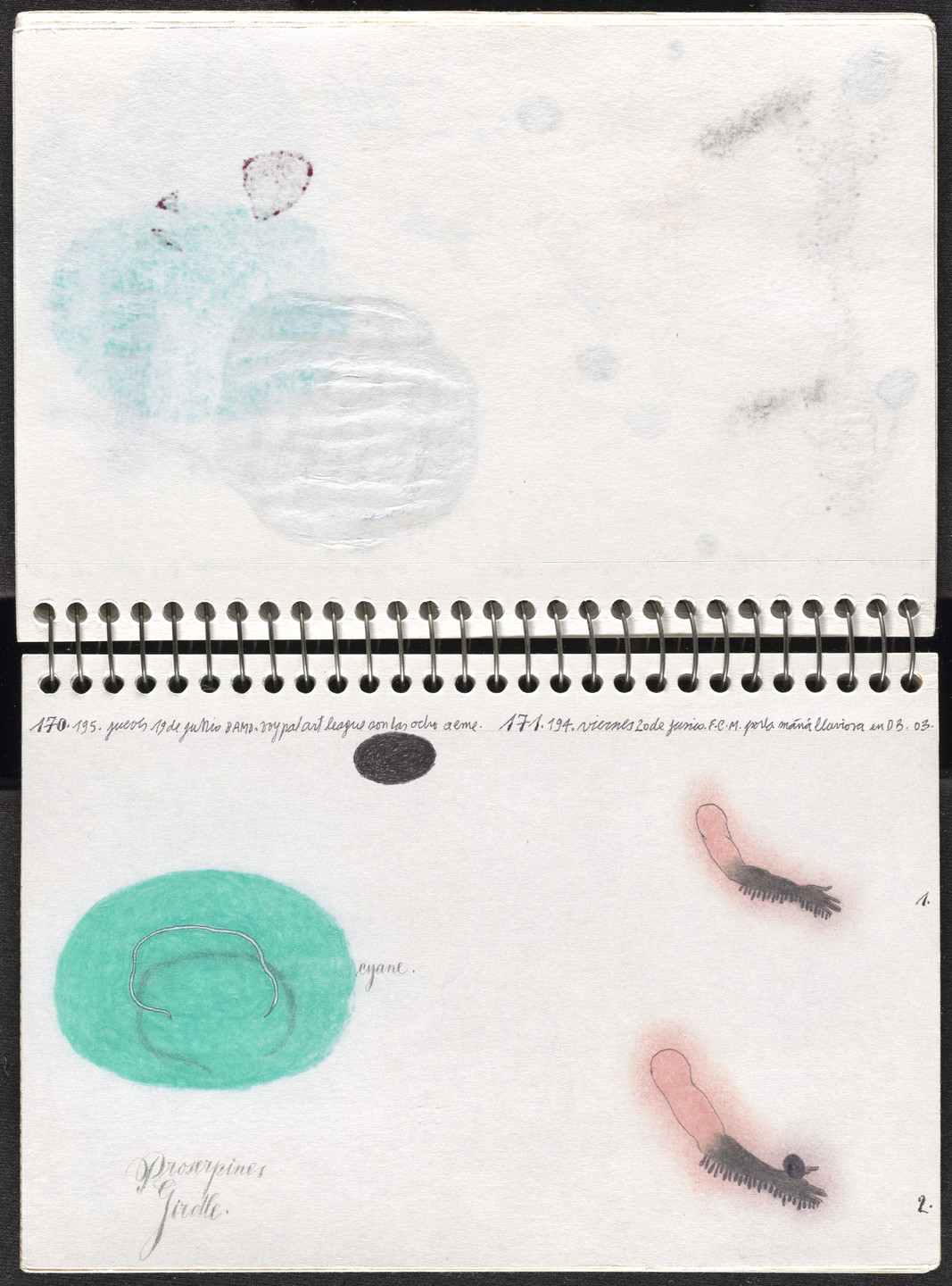 José Antonio Suárez Londoño. Metamorphoses Ovid II (Metamorfosis Ovidio II). 2003
