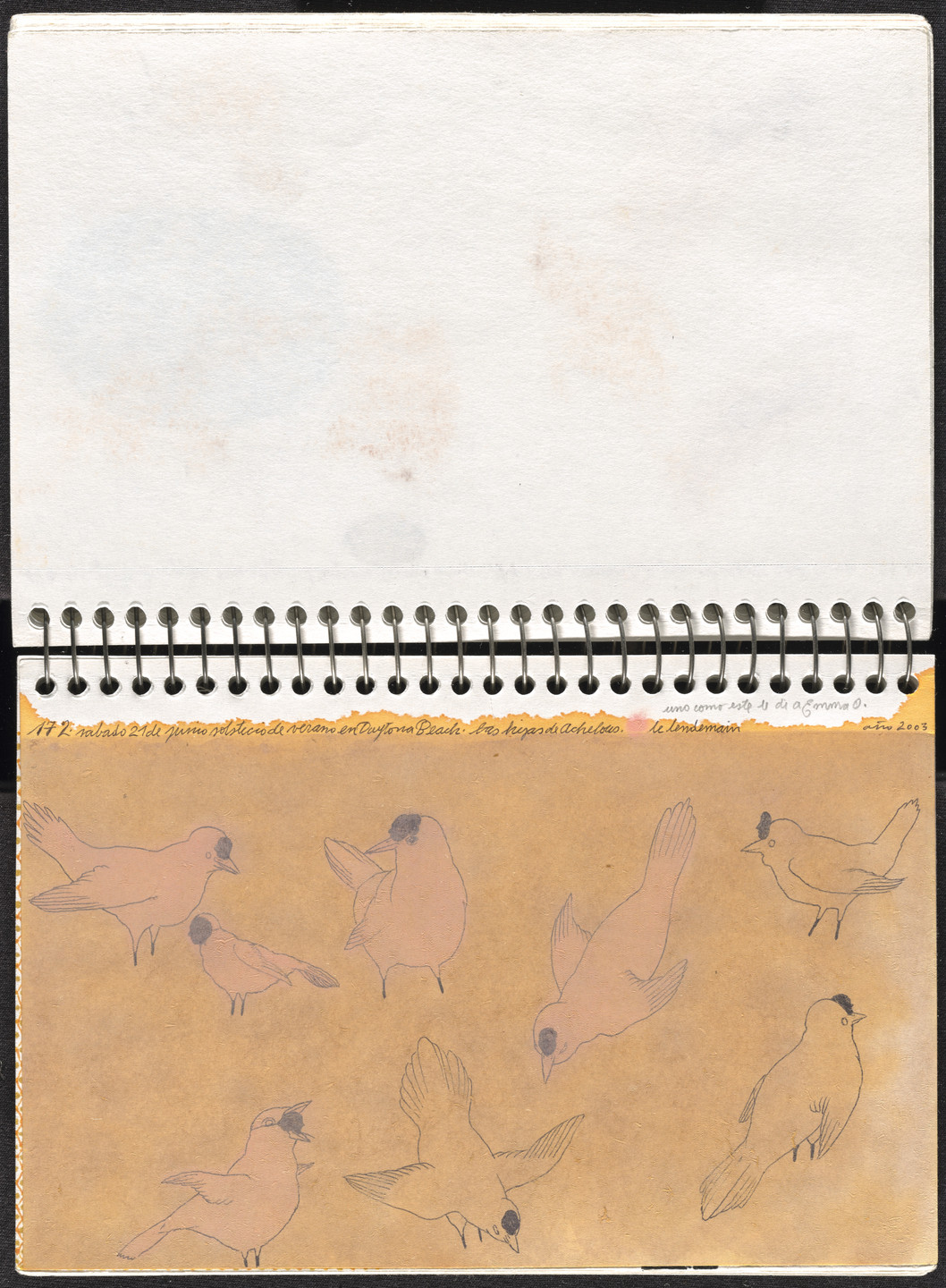 José Antonio Suárez Londoño. Metamorphoses Ovid II (Metamorfosis Ovidio II). 2003