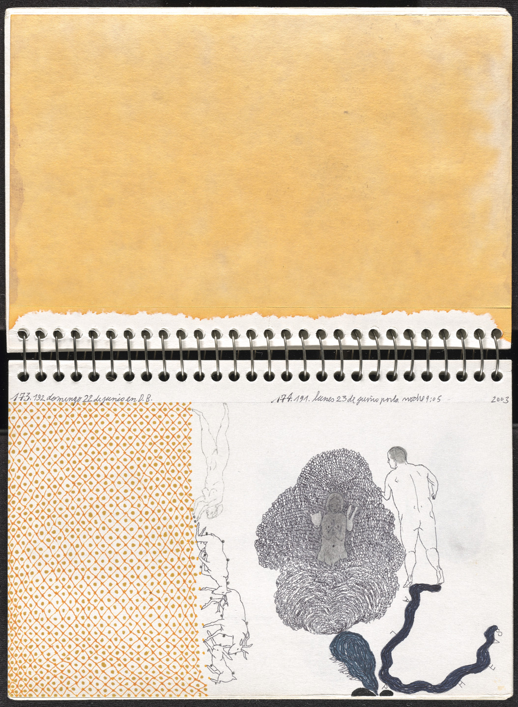 José Antonio Suárez Londoño. Metamorphoses Ovid II (Metamorfosis Ovidio II). 2003