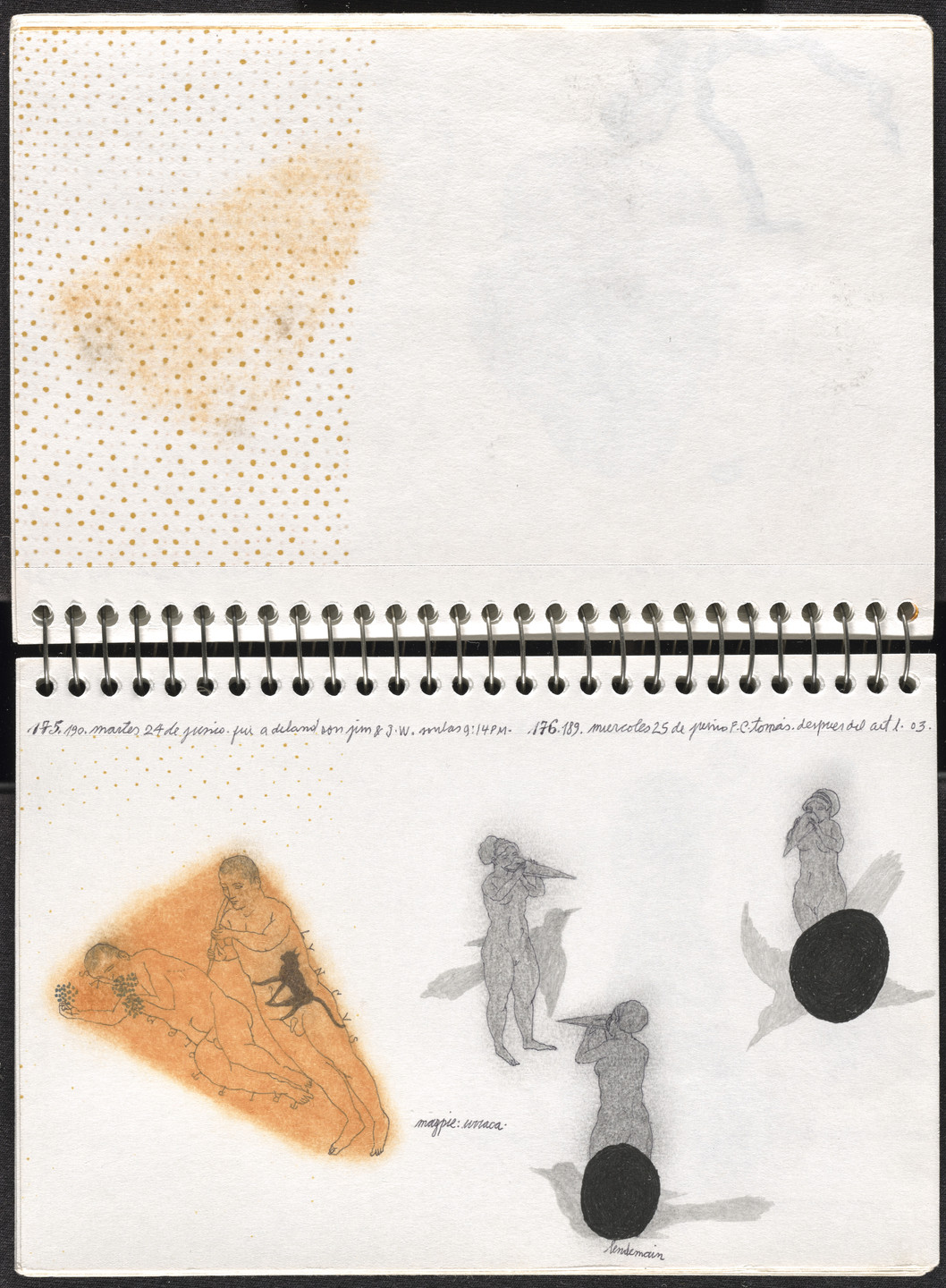 José Antonio Suárez Londoño. Metamorphoses Ovid II (Metamorfosis Ovidio II). 2003