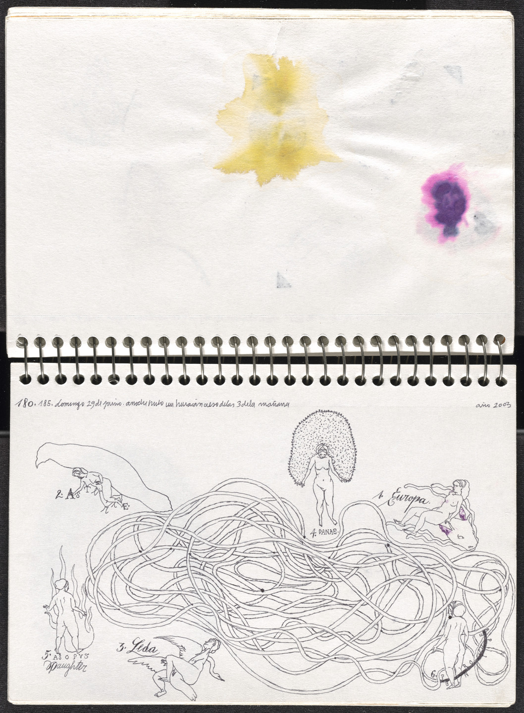 José Antonio Suárez Londoño. Metamorphoses Ovid II (Metamorfosis Ovidio II). 2003