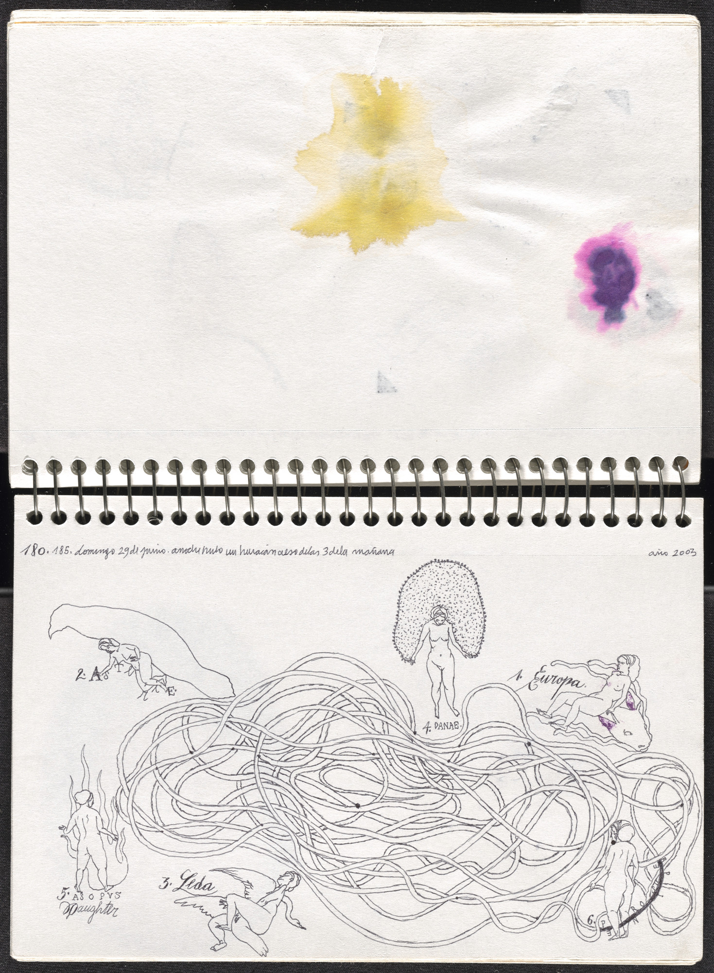 José Antonio Suárez Londoño. Metamorphoses Ovid II (Metamorfosis Ovidio II). 2003