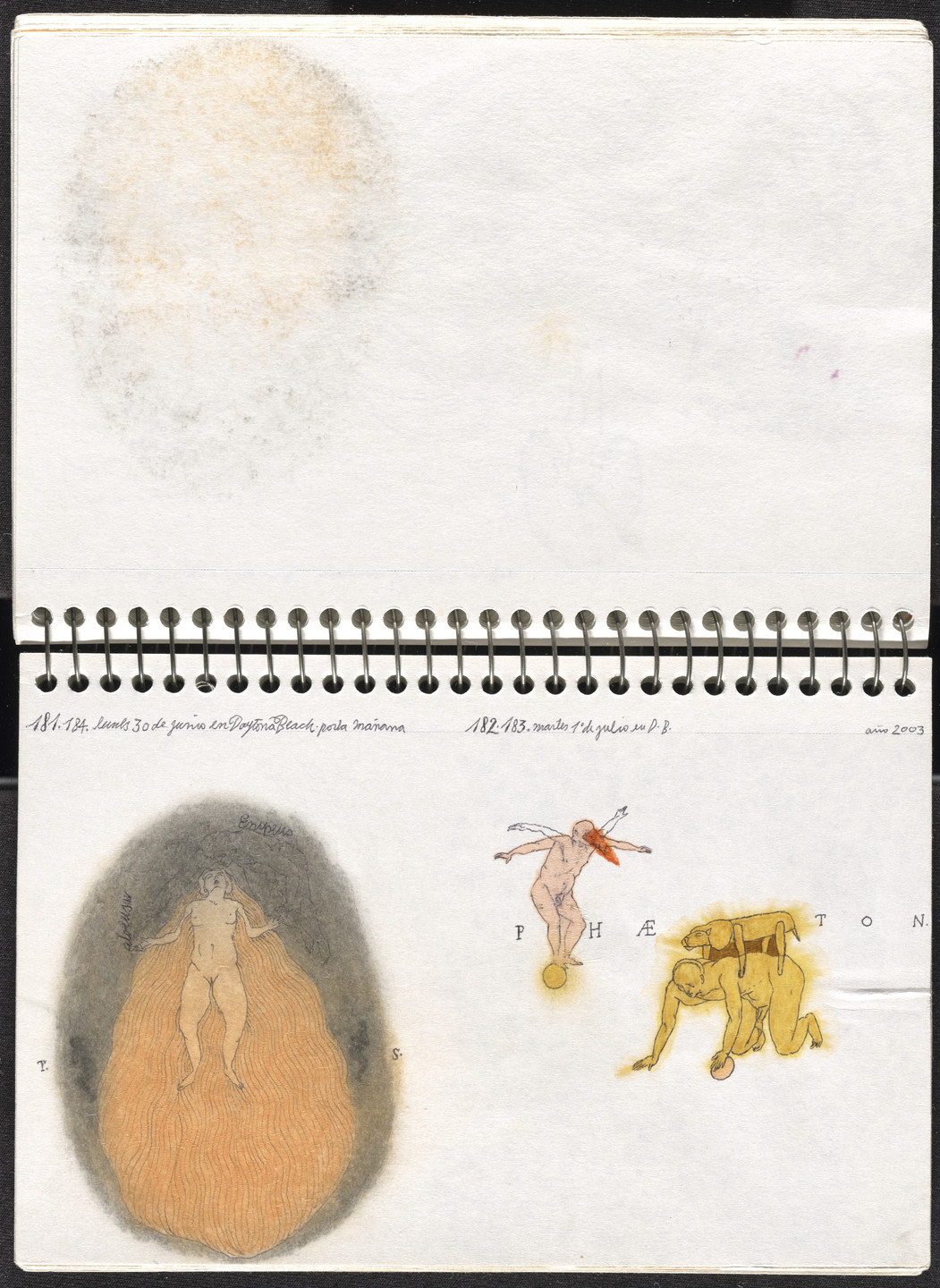 José Antonio Suárez Londoño. Metamorphoses Ovid II (Metamorfosis Ovidio II). 2003