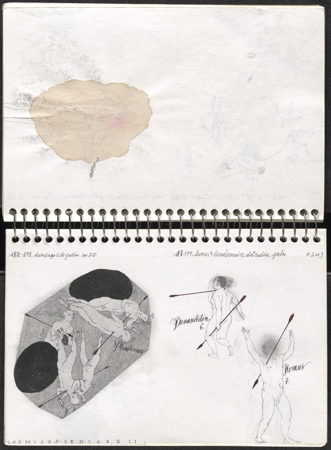 José Antonio Suárez Londoño. Metamorphoses Ovid II (Metamorfosis Ovidio II). 2003