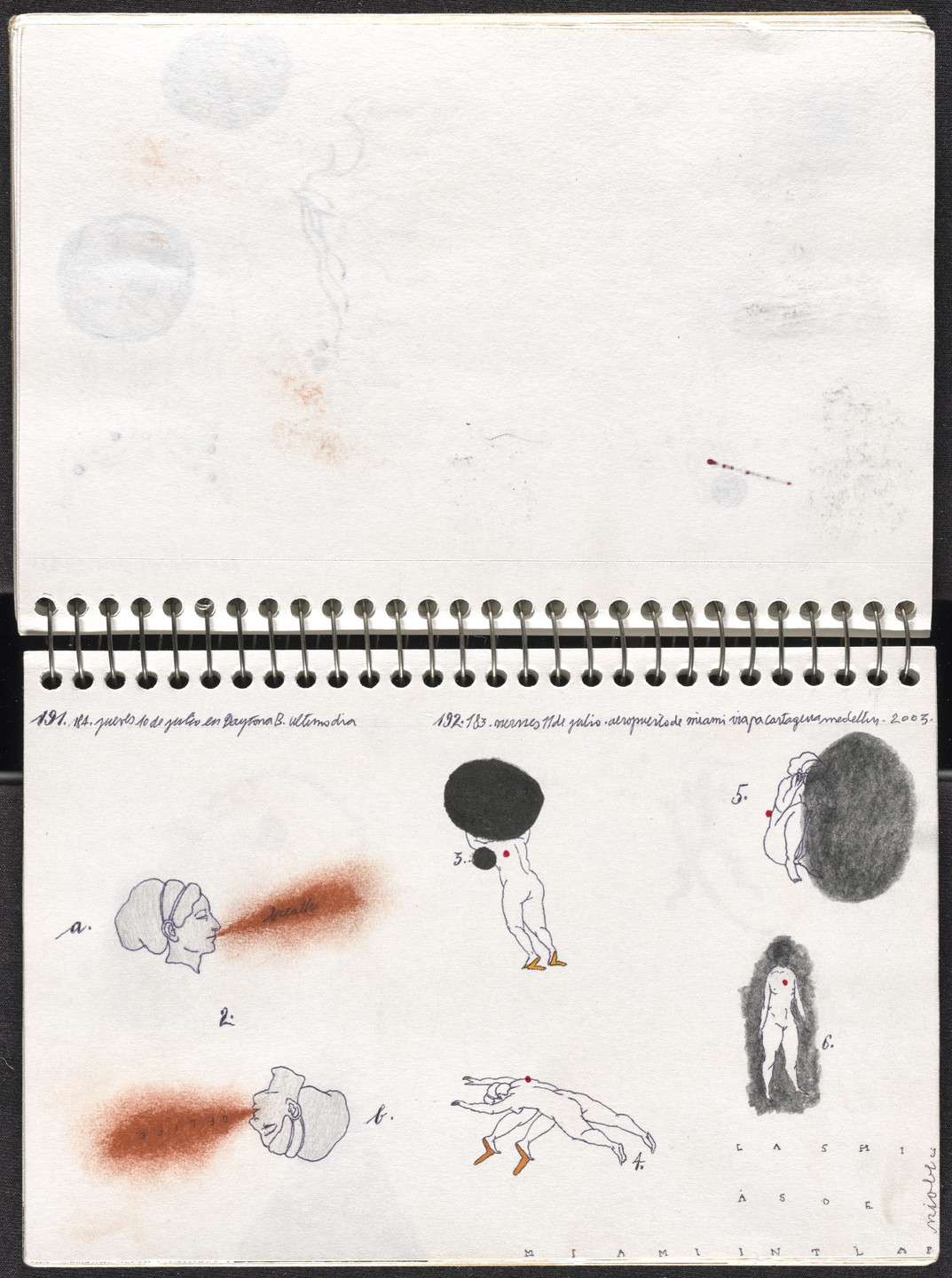 José Antonio Suárez Londoño. Metamorphoses Ovid II (Metamorfosis Ovidio II). 2003