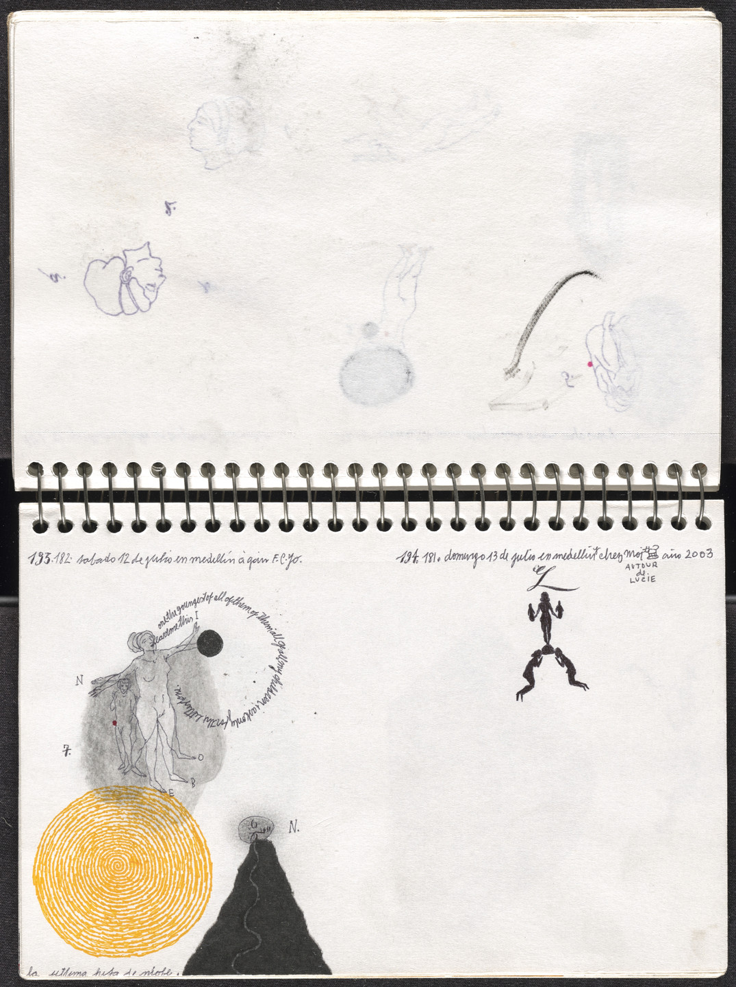 José Antonio Suárez Londoño. Metamorphoses Ovid II (Metamorfosis Ovidio II). 2003
