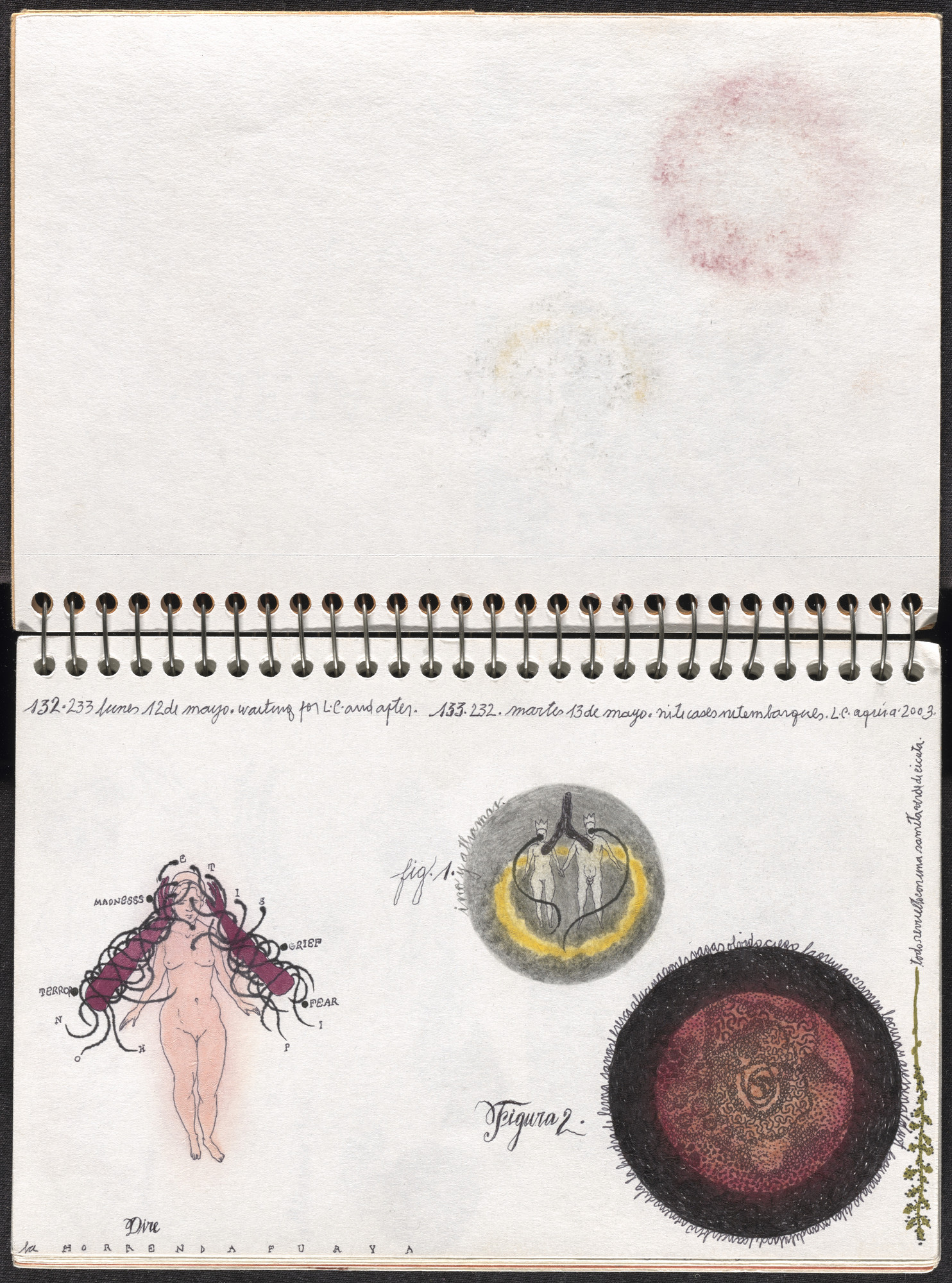José Antonio Suárez Londoño. Metamorphoses Ovid II (Metamorfosis Ovidio II). 2003