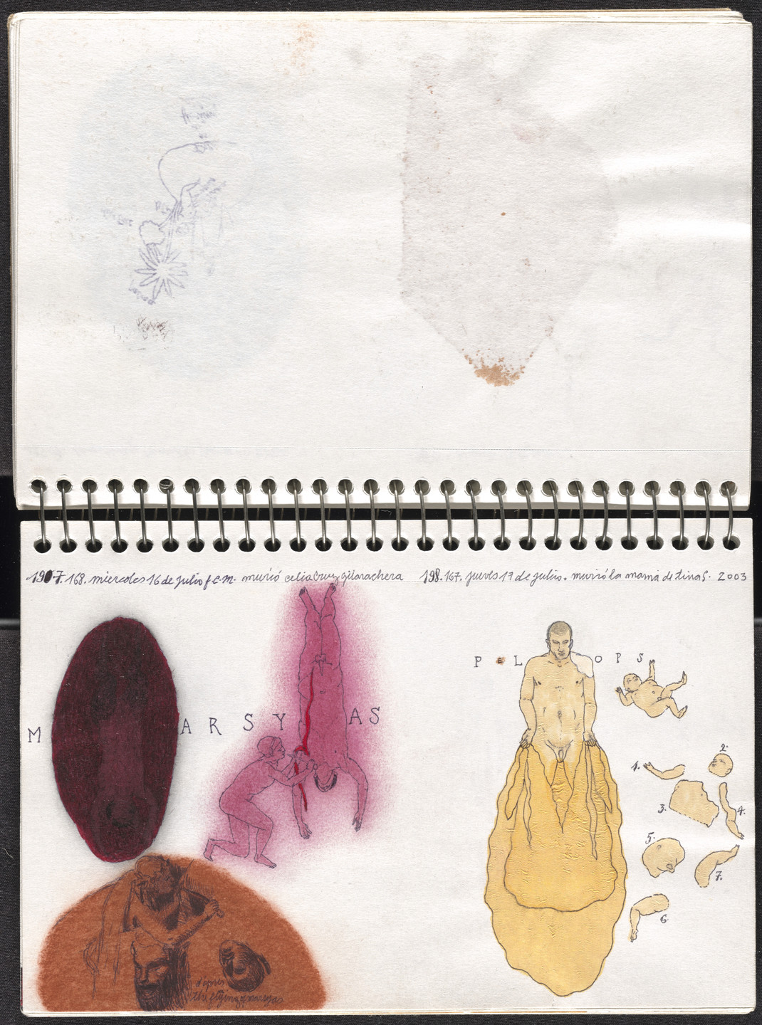José Antonio Suárez Londoño. Metamorphoses Ovid II (Metamorfosis Ovidio II). 2003