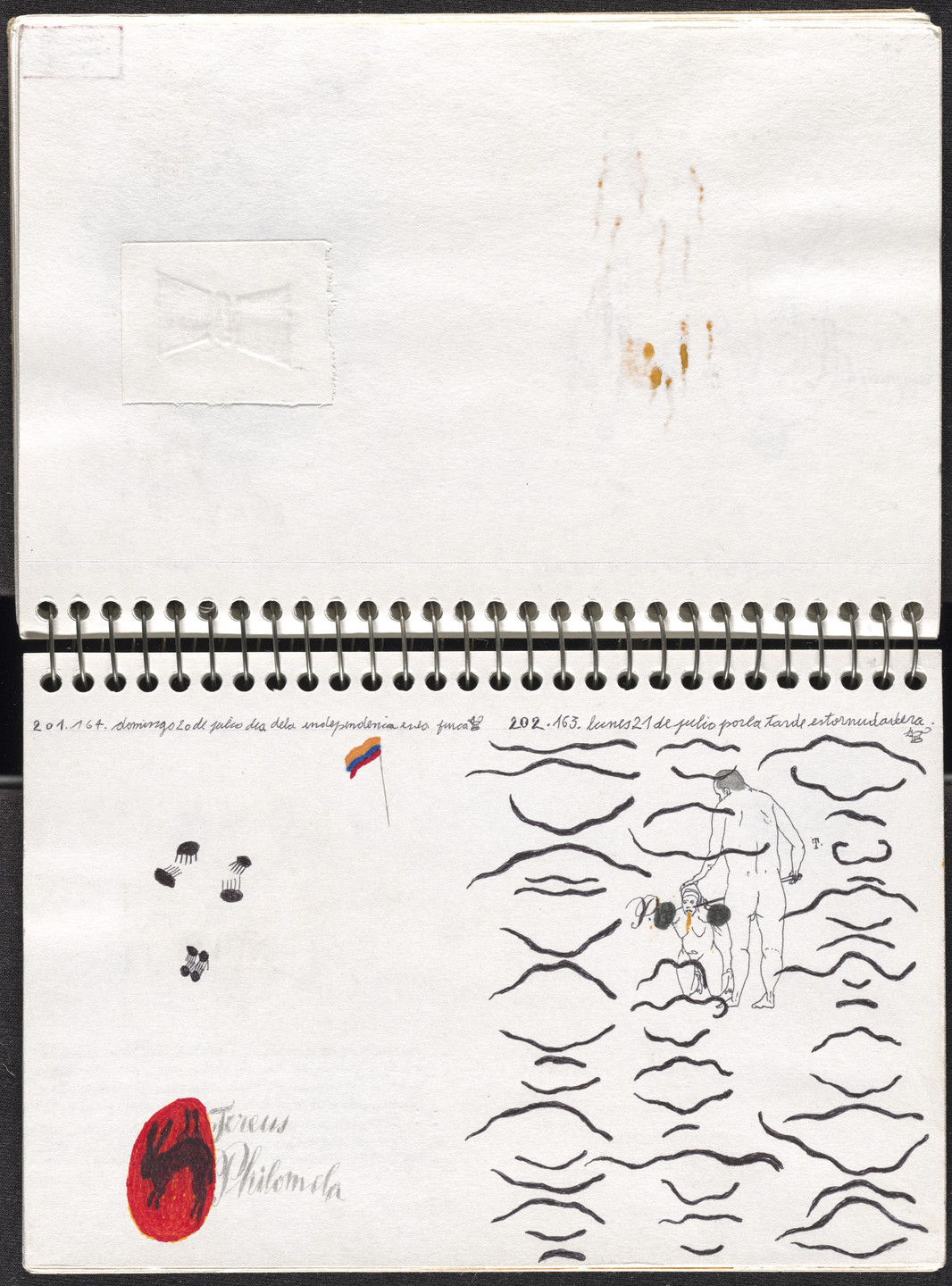 José Antonio Suárez Londoño. Metamorphoses Ovid II (Metamorfosis Ovidio II). 2003