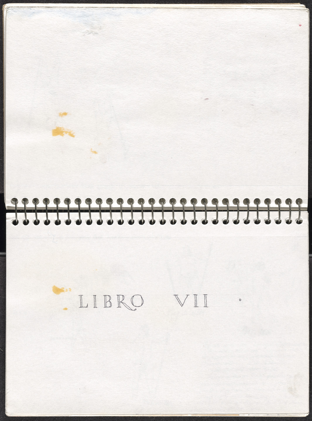 José Antonio Suárez Londoño. Metamorphoses Ovid II (Metamorfosis Ovidio II). 2003