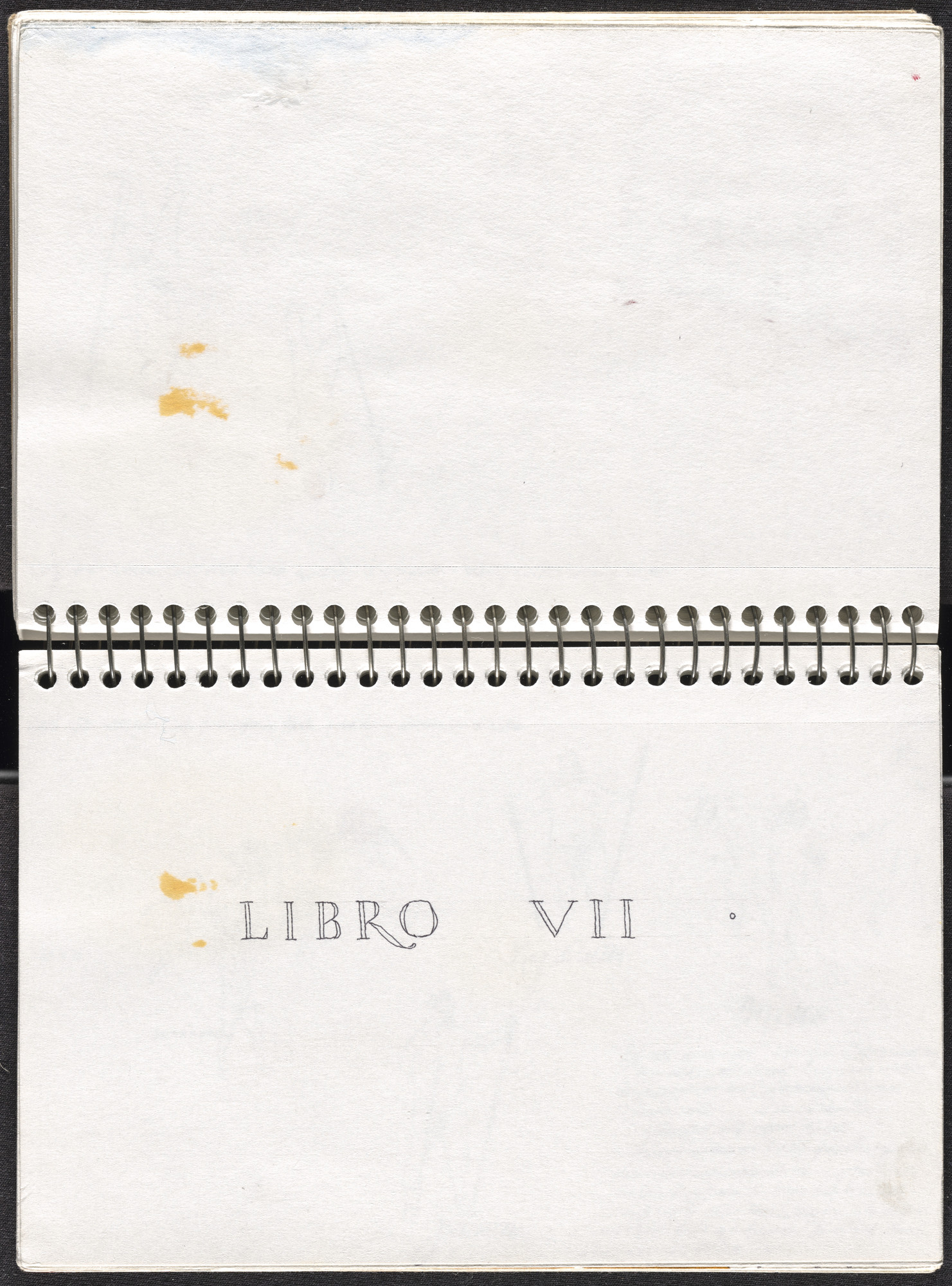 José Antonio Suárez Londoño. Metamorphoses Ovid II (Metamorfosis Ovidio II). 2003