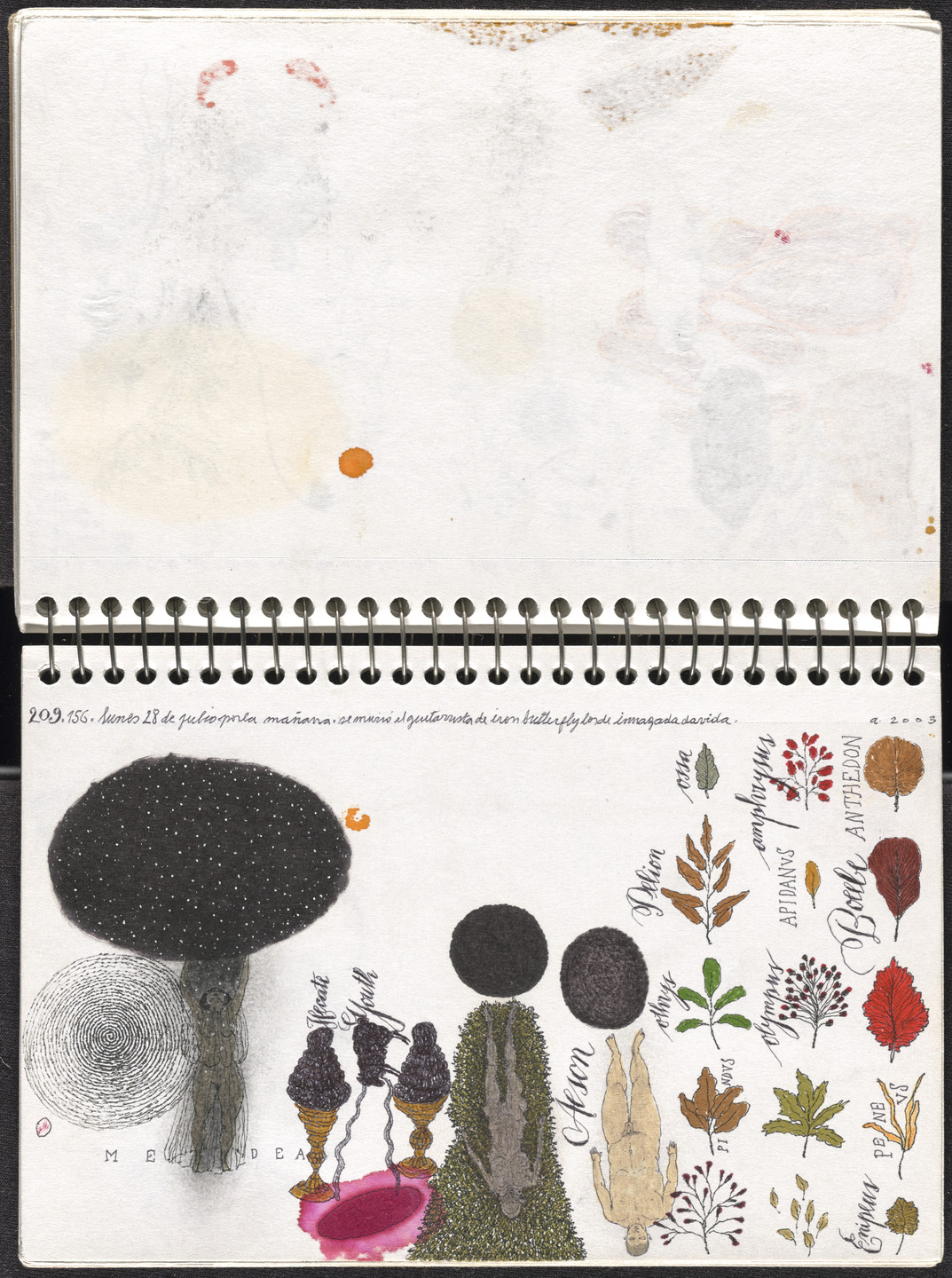 José Antonio Suárez Londoño. Metamorphoses Ovid II (Metamorfosis Ovidio II). 2003