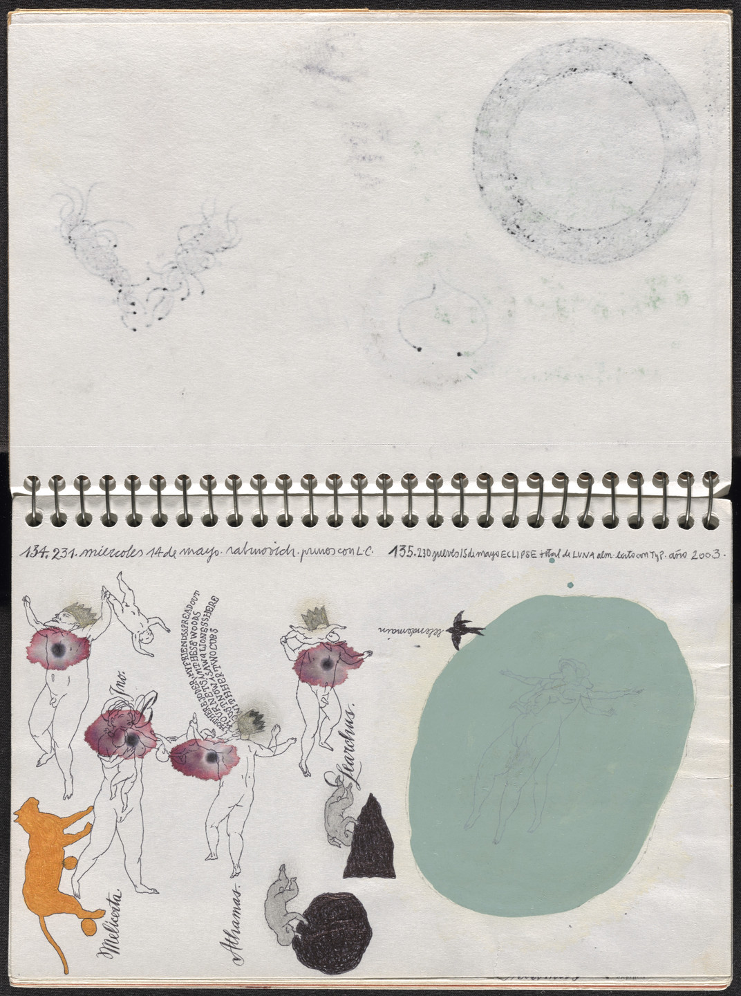 José Antonio Suárez Londoño. Metamorphoses Ovid II (Metamorfosis Ovidio II). 2003