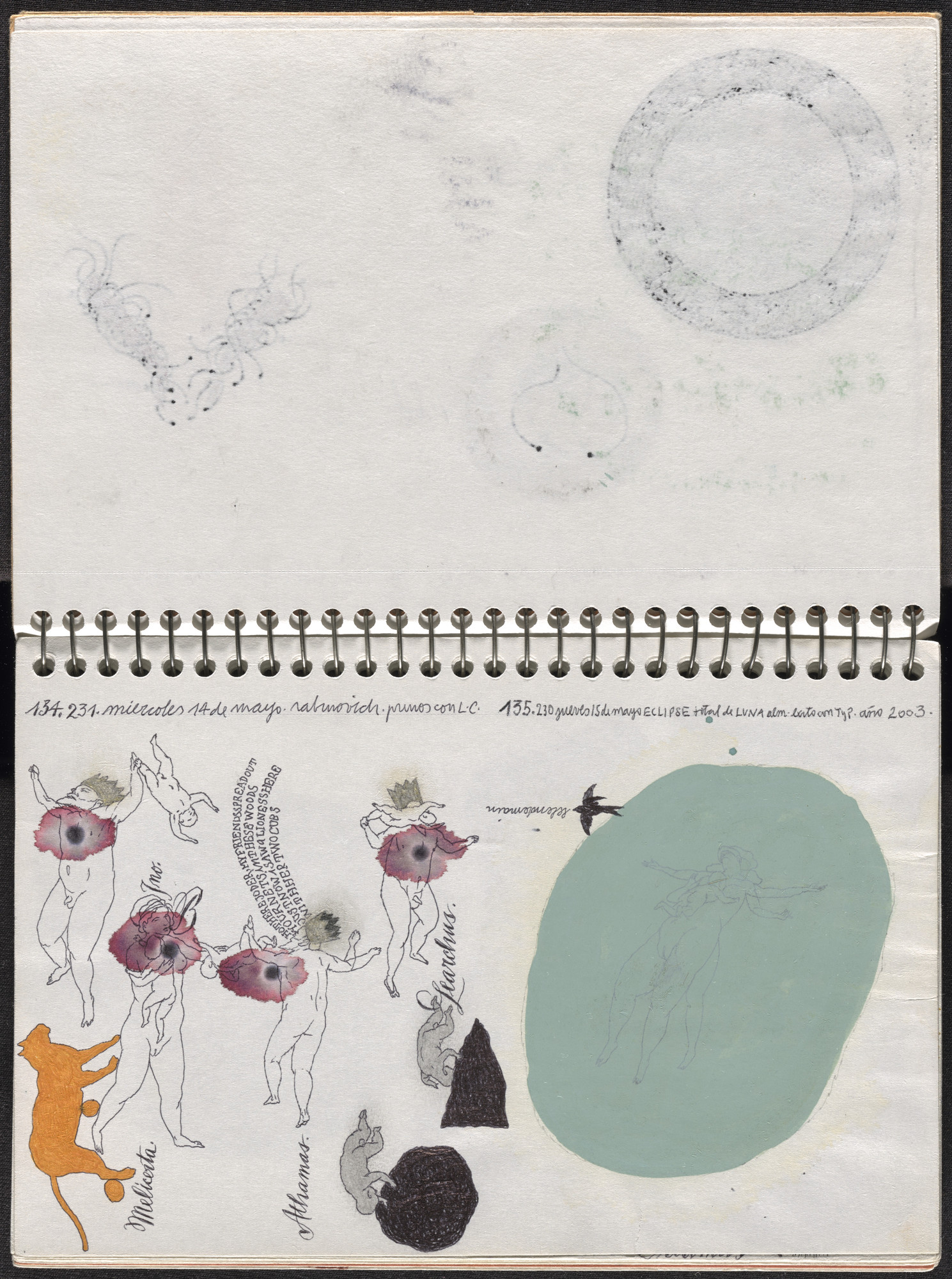 José Antonio Suárez Londoño. Metamorphoses Ovid II (Metamorfosis Ovidio II). 2003