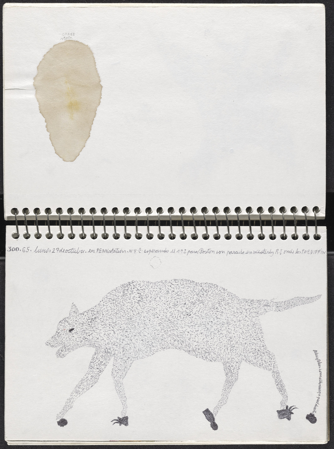 José Antonio Suárez Londoño. Metamorphoses Ovid III (Metamorfosis Ovidio III). 2003