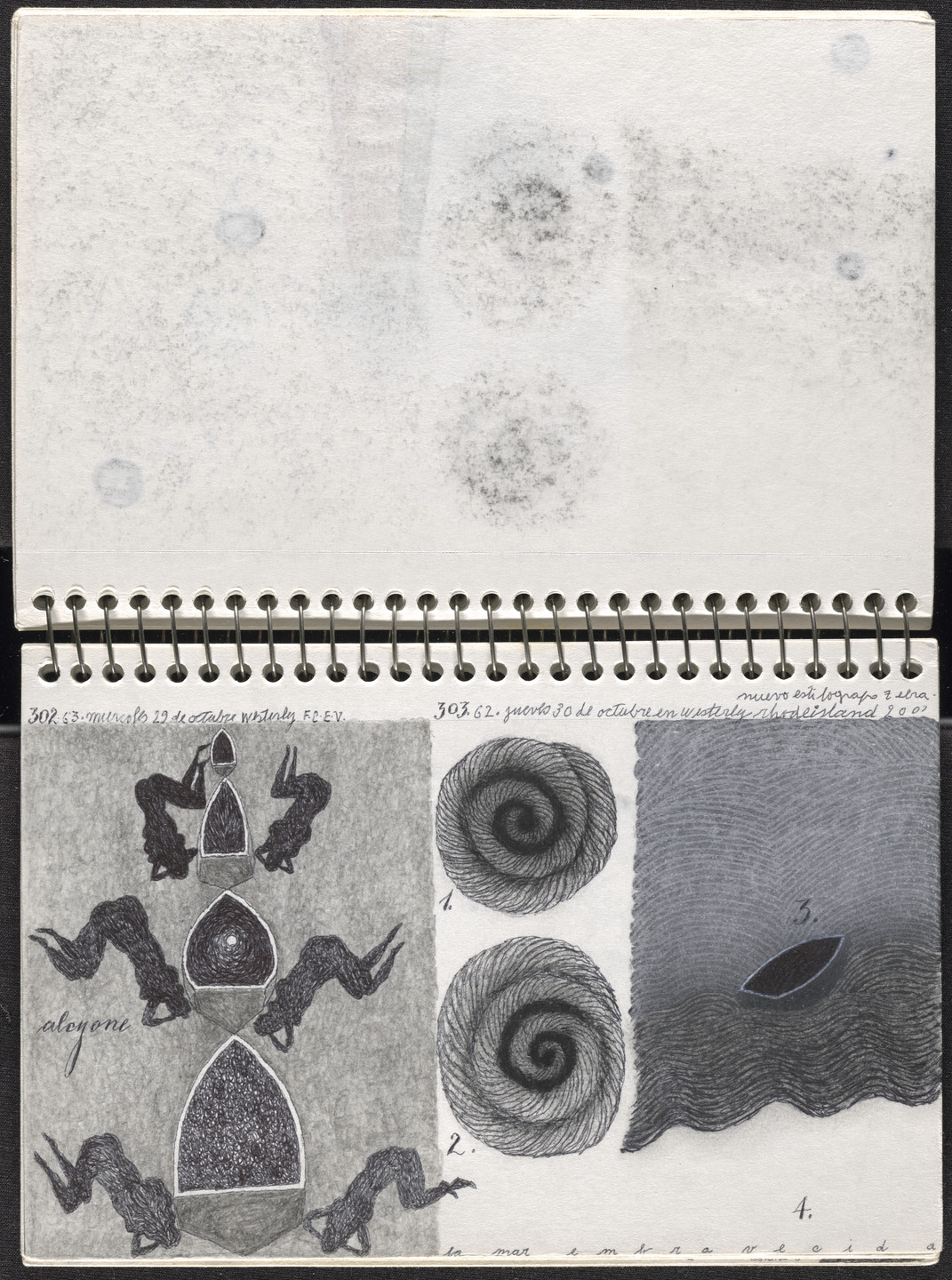 José Antonio Suárez Londoño. Metamorphoses Ovid III (Metamorfosis Ovidio III). 2003
