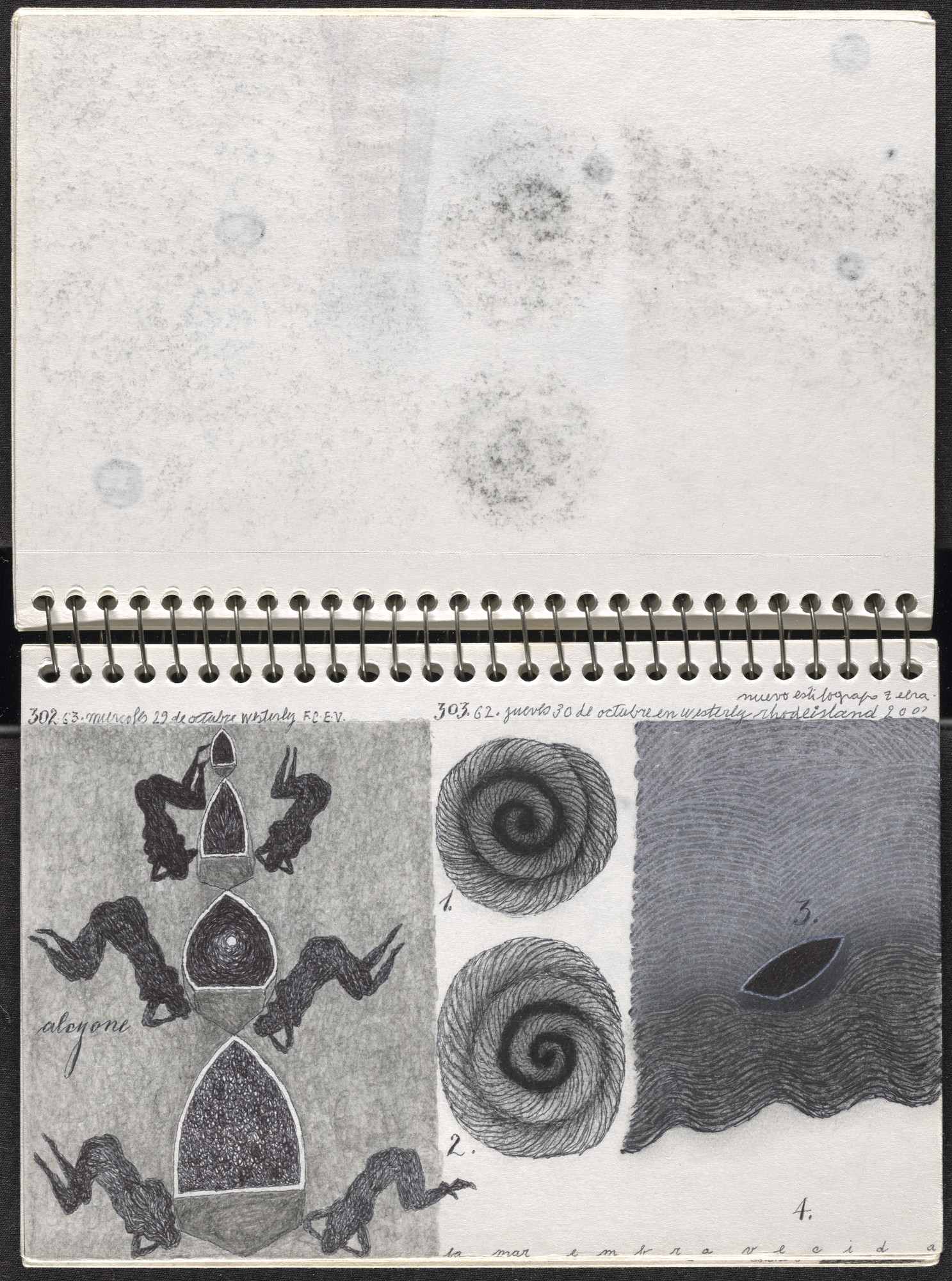 José Antonio Suárez Londoño. Metamorphoses Ovid III (Metamorfosis Ovidio III). 2003