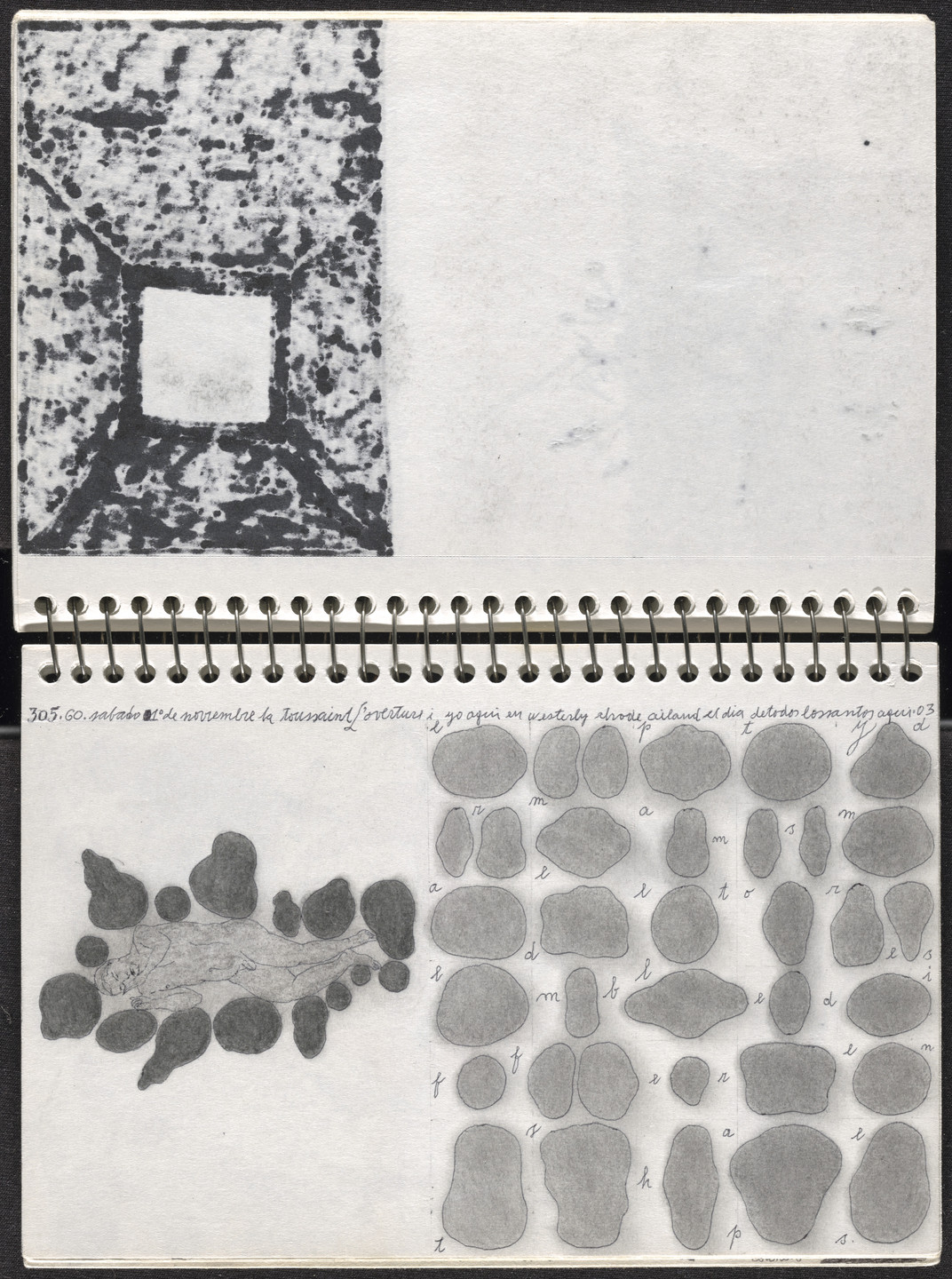 José Antonio Suárez Londoño. Metamorphoses Ovid III (Metamorfosis Ovidio III). 2003