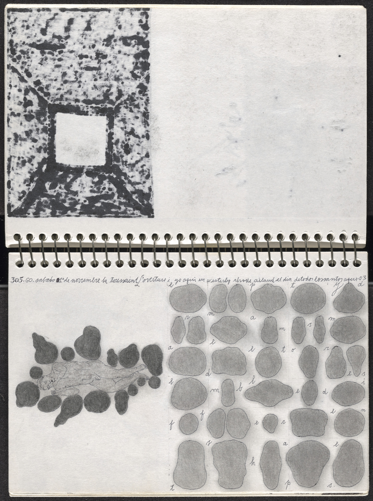 José Antonio Suárez Londoño. Metamorphoses Ovid III (Metamorfosis Ovidio III). 2003