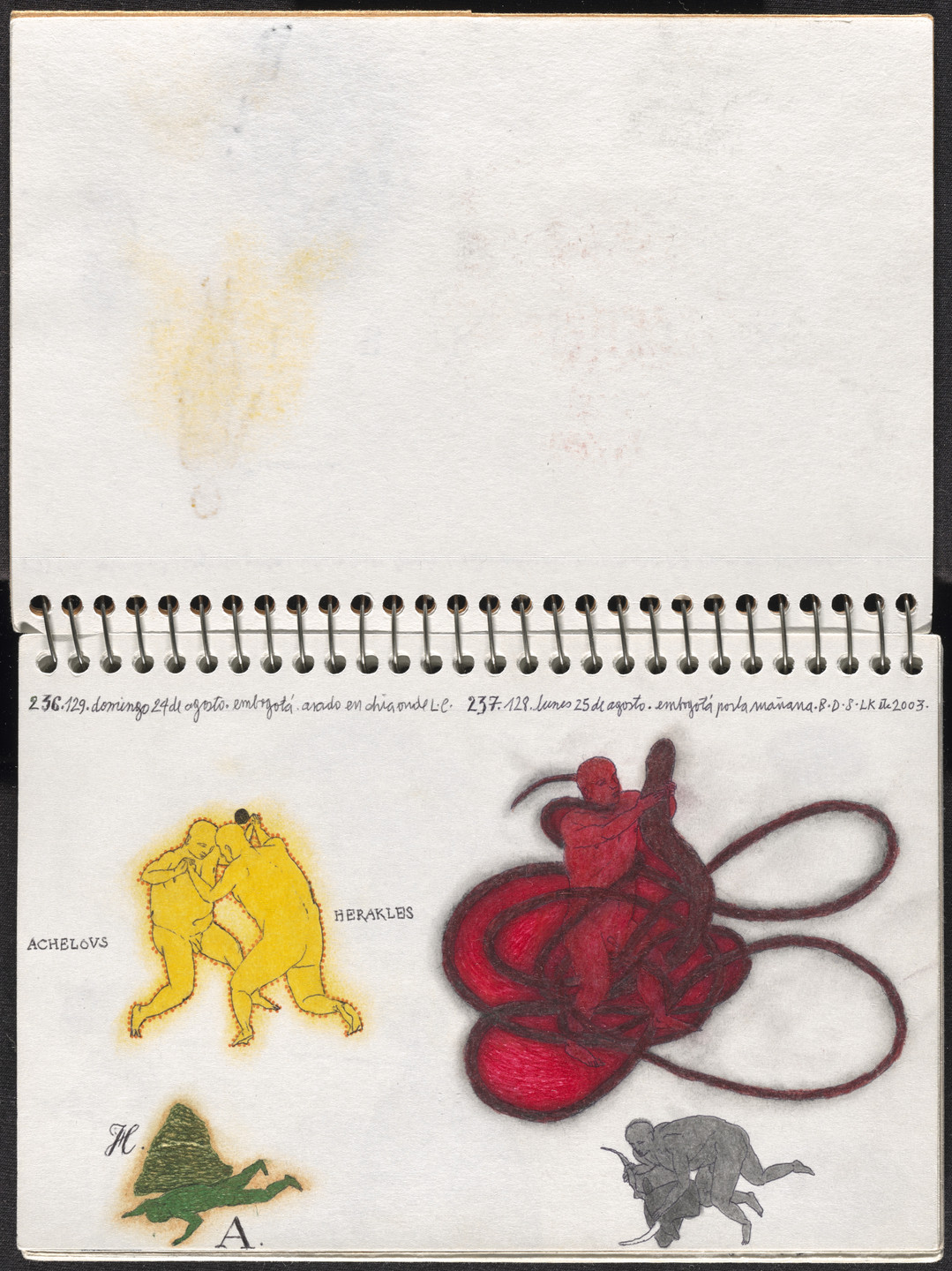 José Antonio Suárez Londoño. Metamorphoses Ovid III (Metamorfosis Ovidio III). 2003