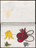 José Antonio Suárez Londoño. Metamorphoses Ovid III (Metamorfosis Ovidio III). 2003