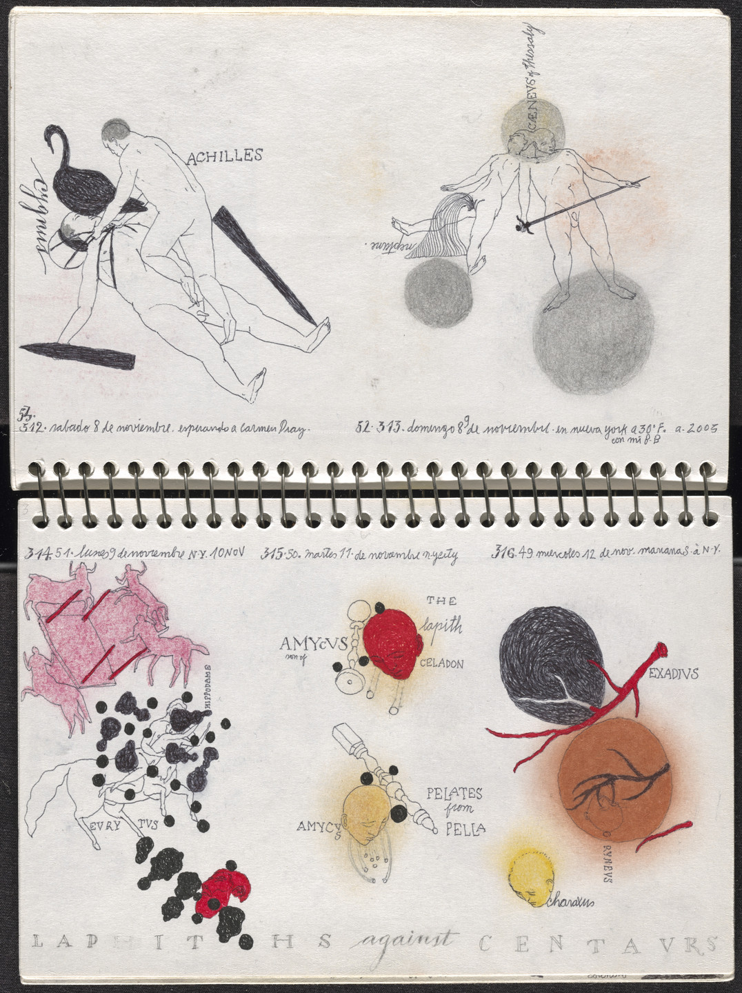 José Antonio Suárez Londoño. Metamorphoses Ovid III (Metamorfosis Ovidio III). 2003