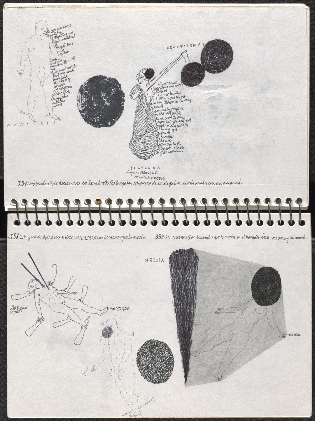 José Antonio Suárez Londoño. Metamorphoses Ovid III (Metamorfosis Ovidio III). 2003