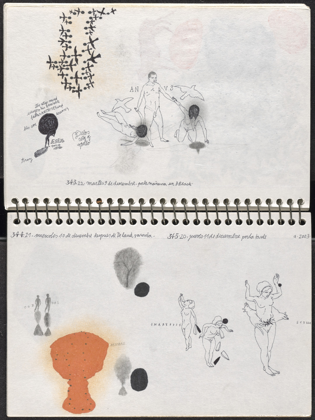 José Antonio Suárez Londoño. Metamorphoses Ovid III (Metamorfosis Ovidio III). 2003