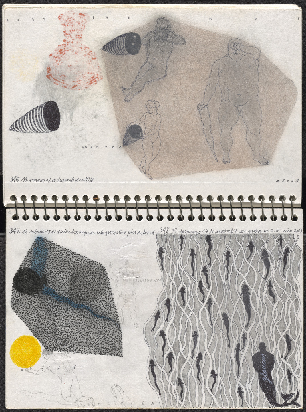 José Antonio Suárez Londoño. Metamorphoses Ovid III (Metamorfosis Ovidio III). 2003