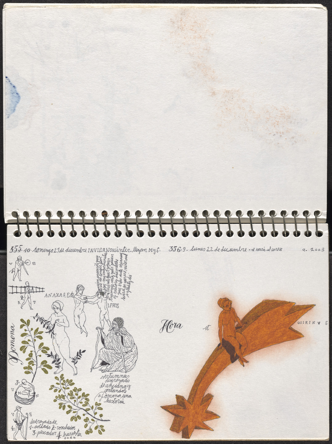 José Antonio Suárez Londoño. Metamorphoses Ovid III (Metamorfosis Ovidio III). 2003