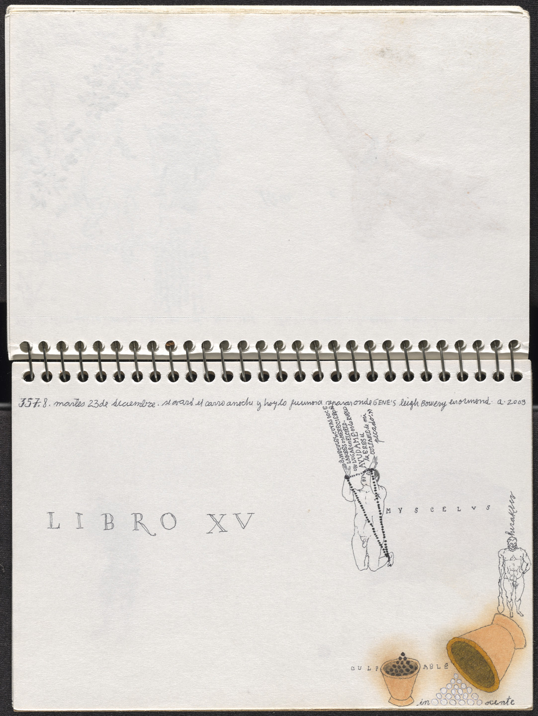 José Antonio Suárez Londoño. Metamorphoses Ovid III (Metamorfosis Ovidio III). 2003