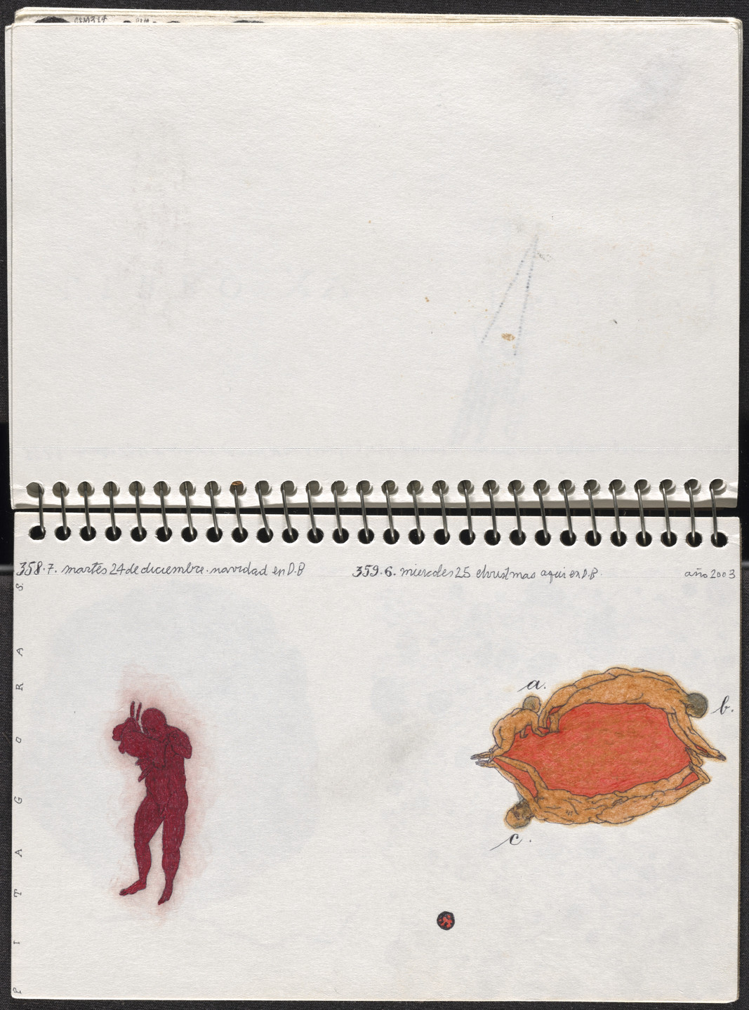 José Antonio Suárez Londoño. Metamorphoses Ovid III (Metamorfosis Ovidio III). 2003