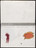 José Antonio Suárez Londoño. Metamorphoses Ovid III (Metamorfosis Ovidio III). 2003