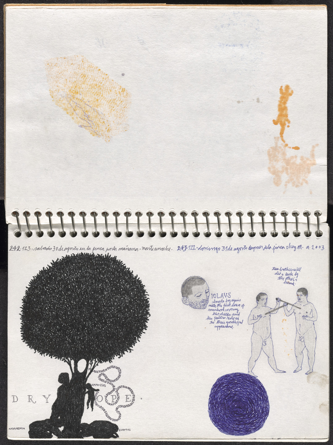 José Antonio Suárez Londoño. Metamorphoses Ovid III (Metamorfosis Ovidio III). 2003