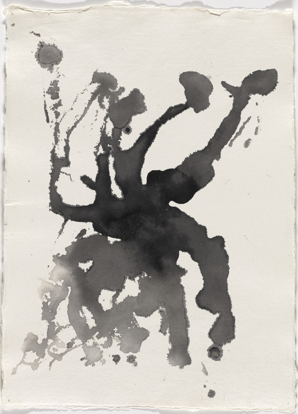 Joan Jonas. Reanimation. 2010/2012/2013