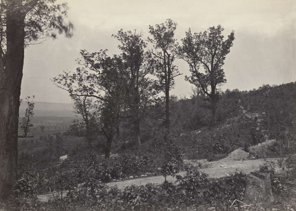 The Crest of Mission Ridge from the album Photographic Views of Sherman's Campaign