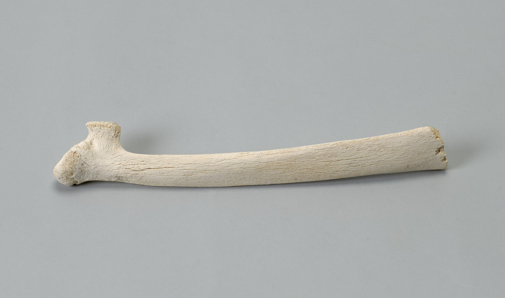 Bone, Robert Watts, c. 1962/1979