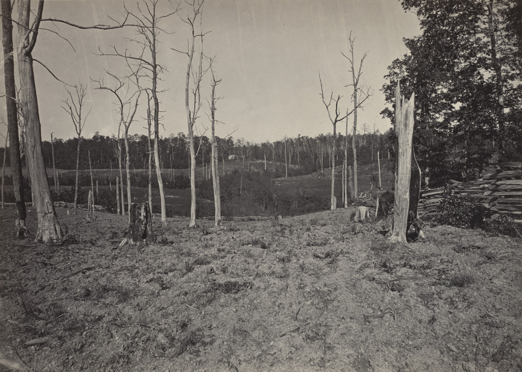 The Battle Ground of Resaca, No. 1 from the album Photographic Views of Sherman's Campaign