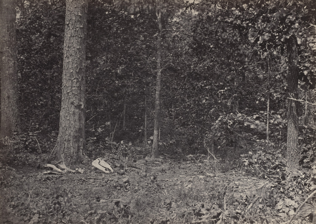 Scene of General McPherson's Death from the album Photographic Views of Sherman's Campaign