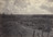George N. Barnard. Battlefield of Atlanta, 22nd July, 1864, No. 2 from the album Photographic Views of Sherman&#39;s Campaign. 1864