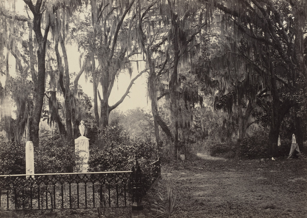 Buen Ventura, Savannah from the album Photographic Views of Sherman's Campaign