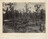 George N. Barnard. Battlefield of Atlanta, 22nd July, 1864, No. 1 from the album Photographic Views of Sherman&#39;s Campaign. 1864