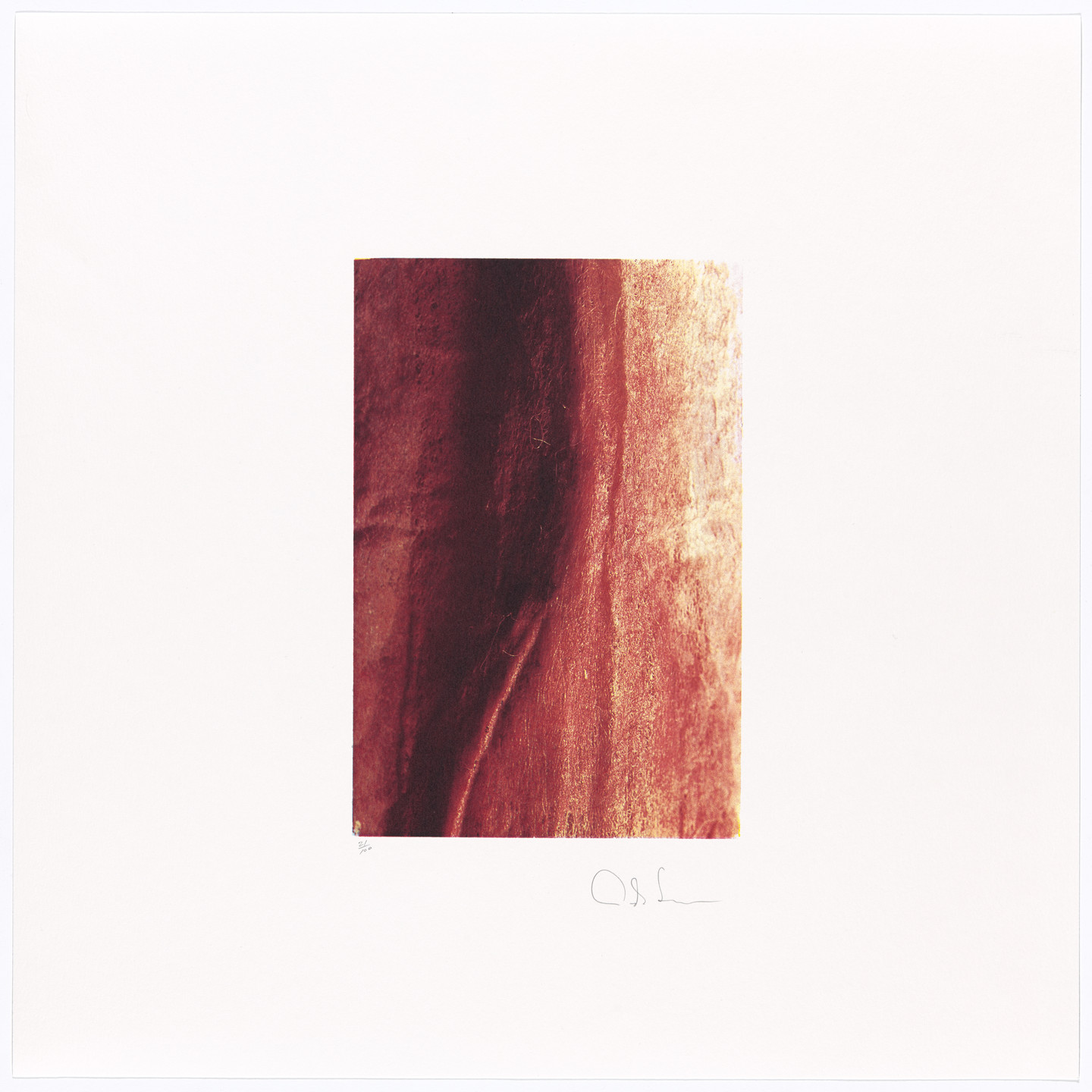 Andres Serrano. Red River #10 from 10: Artist as Catalyst. 1992