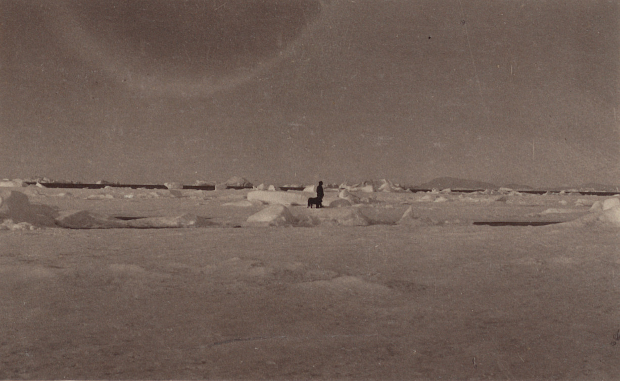 George P. Critcherson, John L. Dunmore, William Bradford. "The solitude of Melville Bay". 1869