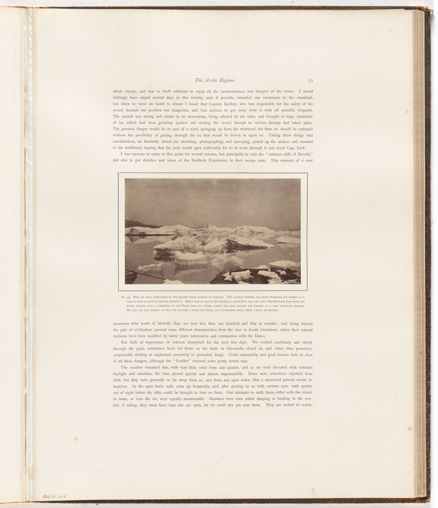 "Surrounded by the wildest scene possible to conceive"