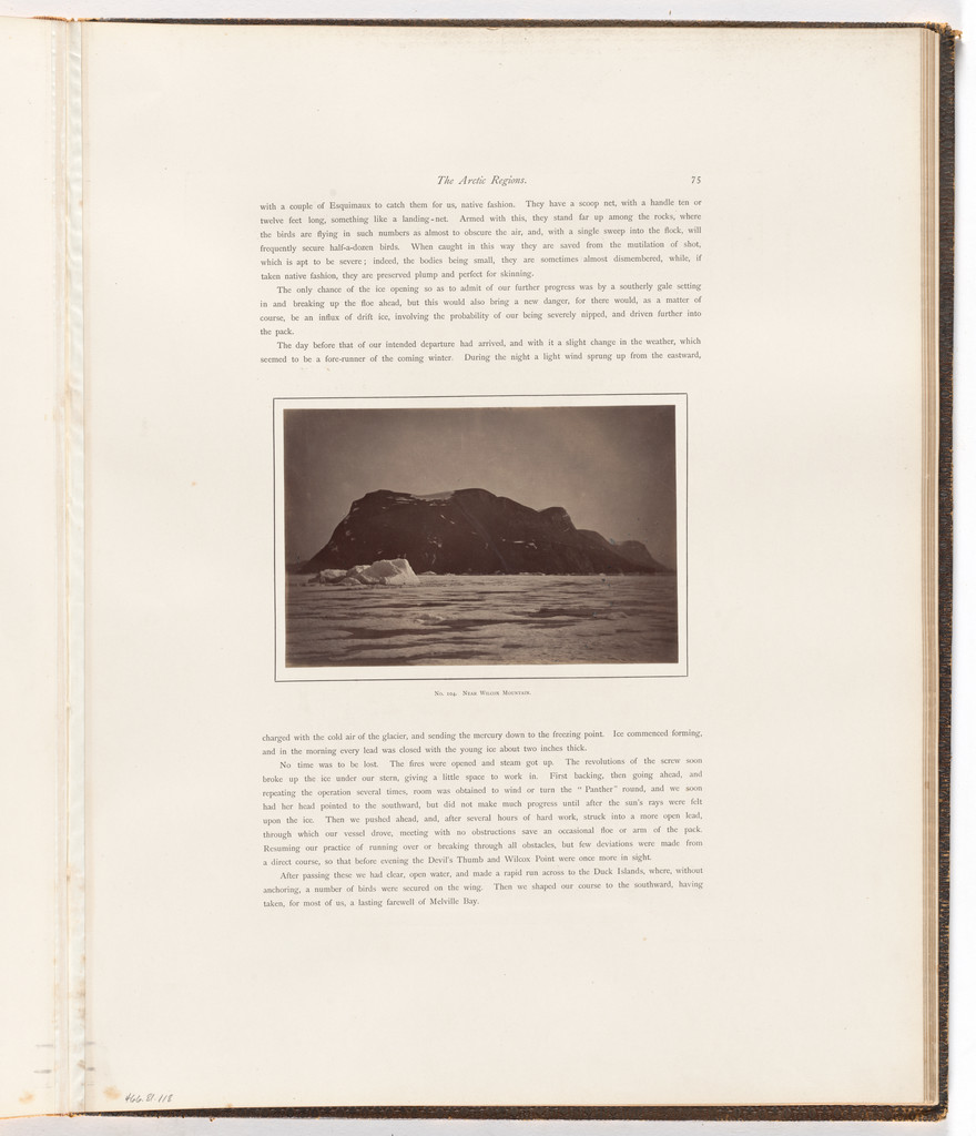 "Near Wilcox Mountain"