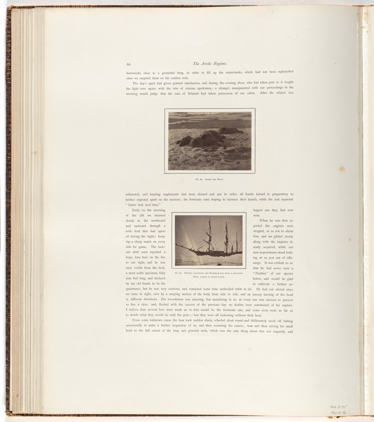 George P. Critcherson, John L. Dunmore, William Bradford. The Arctic Regions. 1869